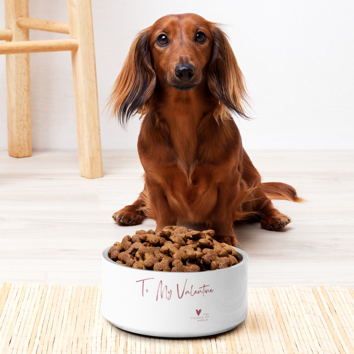 Valentine's Day Pet Bowl | Stainless Steel Dog Dish |