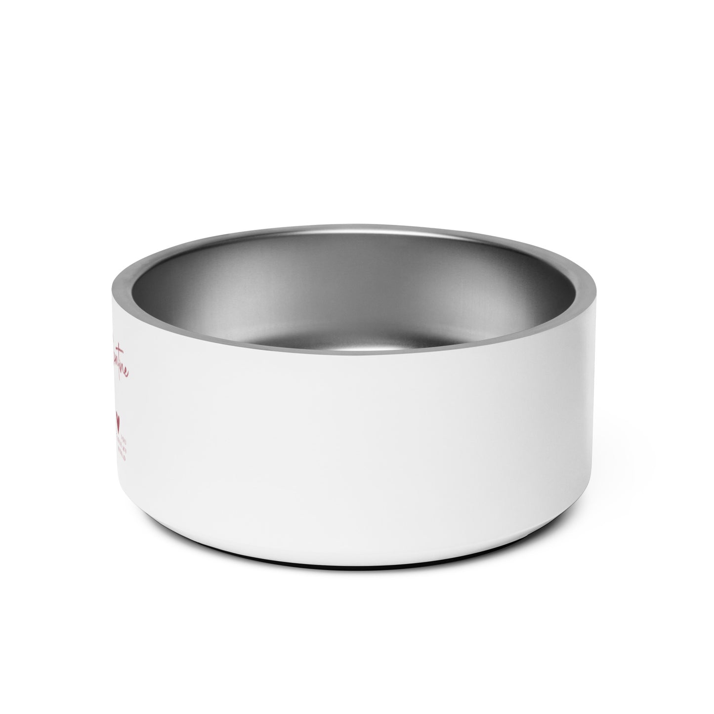 Valentine's Day Pet Bowl | Stainless Steel Dog Dish |