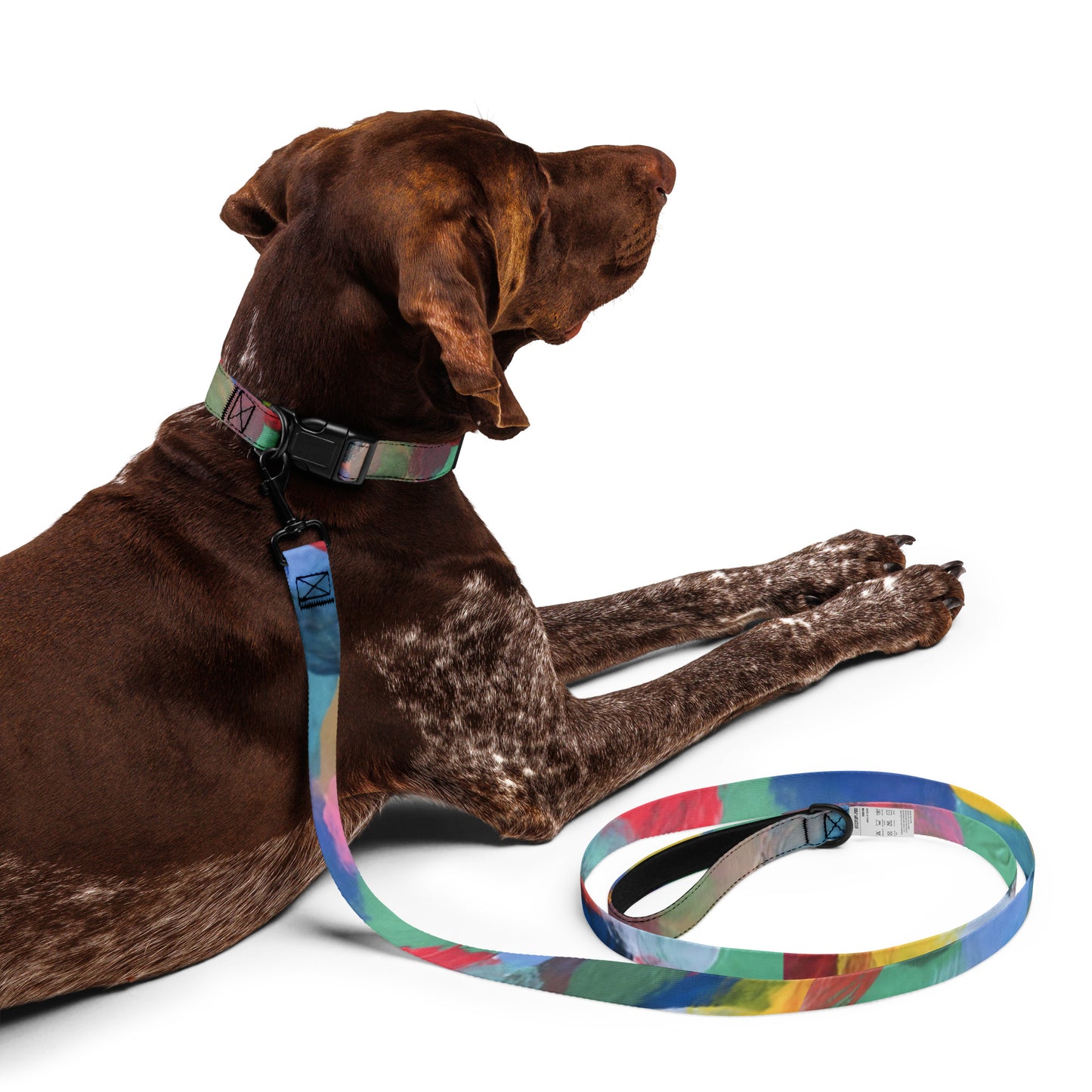 Tie-Dye Dog Collar and Leash Set | Rainbow Multi-Colour