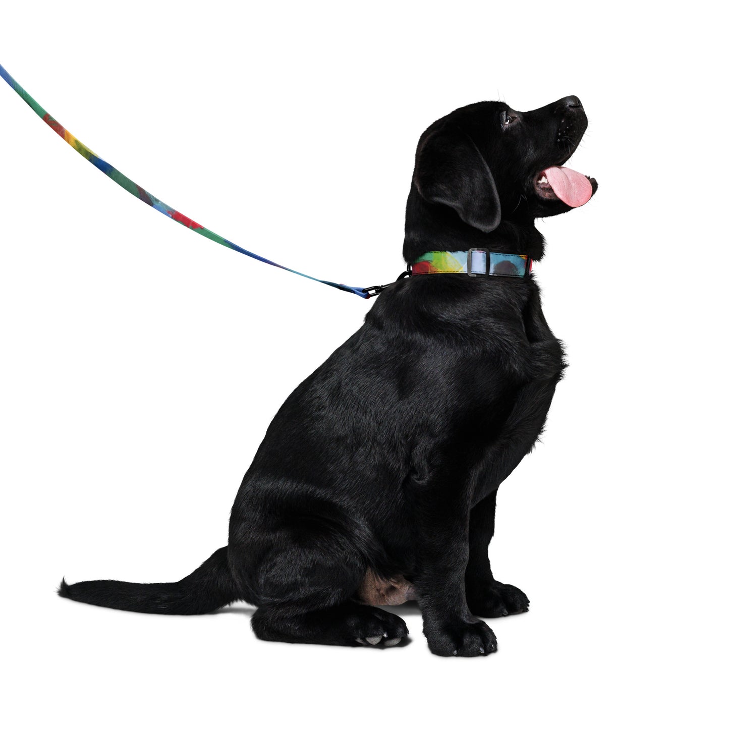 Tie-Dye Dog Collar and Leash Set | Rainbow Multi-Colour